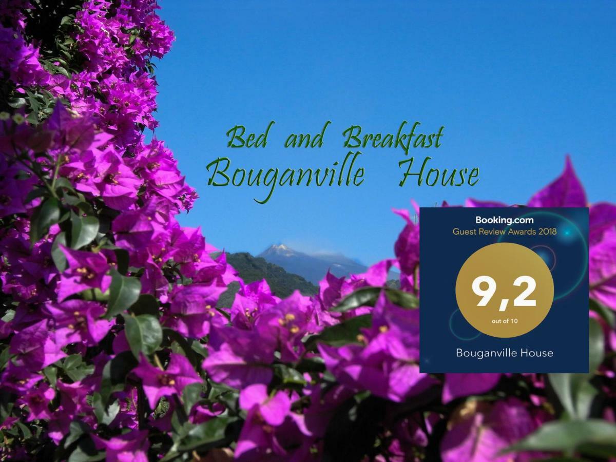 Bouganville House Zafferana Etnea Bagian luar foto